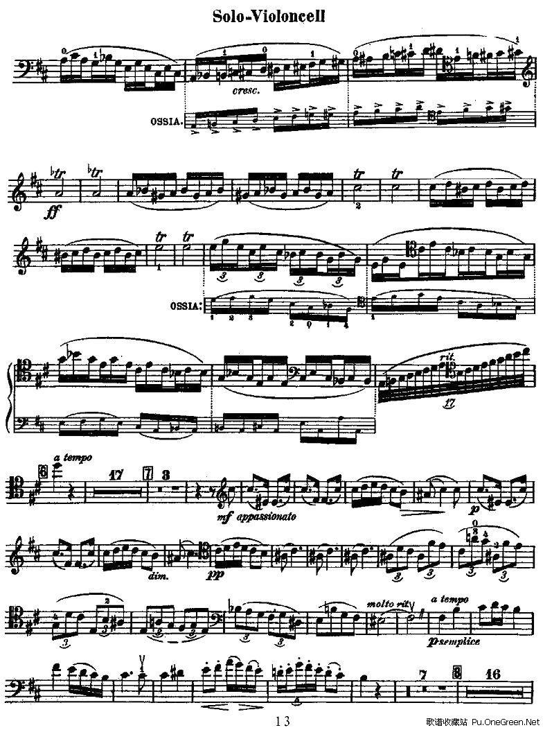 rak _ Cello Concerto(德沃夏克_大提琴协奏曲)